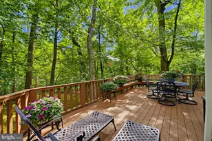 1426 Fallswood, Rockville, MD 20854 - Photo 39