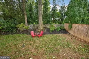 9908 Dickens Ave, Bethesda, MD 20814 - Photo 43