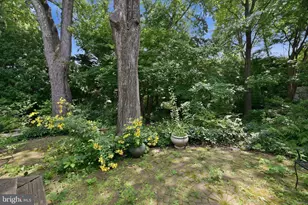 5515 Trent St, Chevy Chase, MD 20815 - Photo 27
