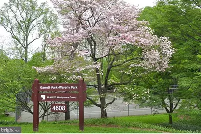 11801 Rockville Pike #1513, Rockville, MD 20852 - Photo 33
