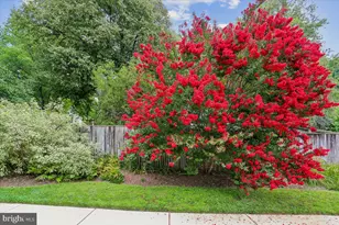 6500 Pyle Rd, Bethesda, MD 20817 - Photo 53