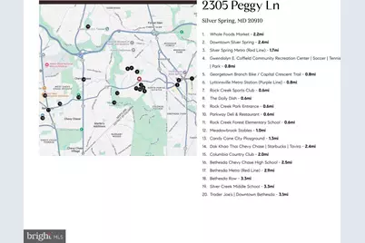 2305 Peggy Lane, Silver Spring, MD 20910 - Photo 45