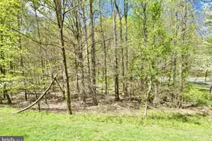 12112 Ravenwood Ct, Silver Spring, MD 20902 - Photo 27