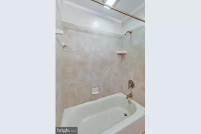 14904 Claude Lane, Silver Spring, MD 20905 - Photo 39