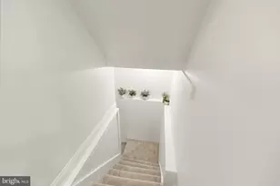 3604 Spring St, Chevy Chase, MD 20815 - Photo 51
