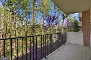 8101 Connecticut Ave, Chevy Chase, MD 20815 - Photo 1