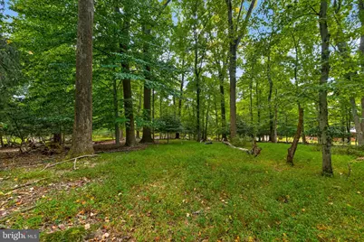 13904 Overton Lane, Silver Spring, MD 20904 - Photo 25