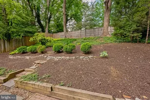 4115 Denfeld Ave, Kensington, MD 20895 - Photo 7