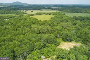21050 Big Woods Rd, Dickerson, MD 20842 - Photo 59