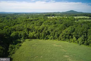 21050 Big Woods Rd, Dickerson, MD 20842 - Photo 61