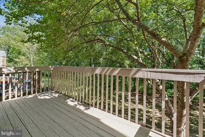 10057 Maple Leaf Drive, Montgomery Village, MD 20886 - Photo 21
