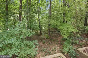 7620 Winterberry Pl, Bethesda, MD 20817 - Photo 39