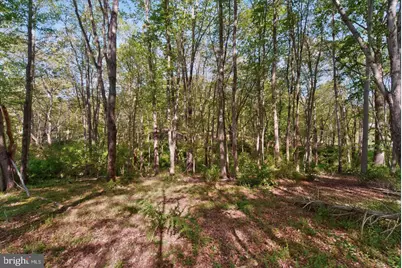 13905 Turkey Run Court, North Potomac, MD 20878 - Photo 7