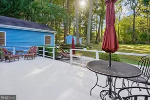 9804 Clover Ln, Rockville, MD 20854 - Photo 59