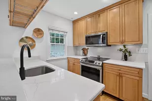 301 Pinewood Ave, Silver Spring, MD 20901 - Photo 13