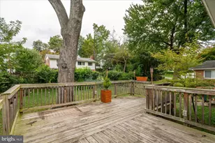 9834 Cherry Tree Ln, Silver Spring, MD 20901 - Photo 33