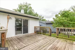 9834 Cherry Tree Ln, Silver Spring, MD 20901 - Photo 35