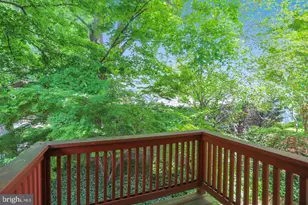 7903 Curtis St, Chevy Chase, MD 20815 - Photo 45