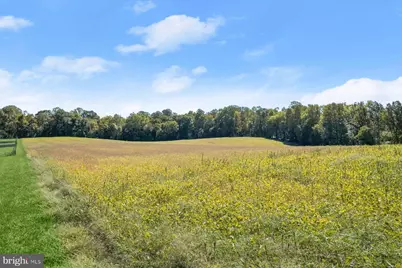 Annapolis Rock Road, Gaithersburg, MD 20882 - Photo 11