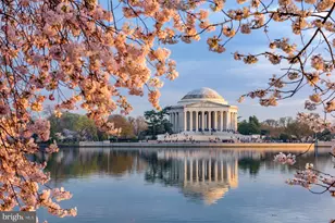 3401 Carnaby St, Hyattsville, MD 20782 - Photo 43