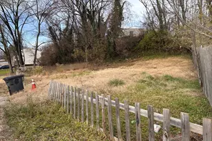 4705 41st Pl, Hyattsville, MD 20781 - Photo 11