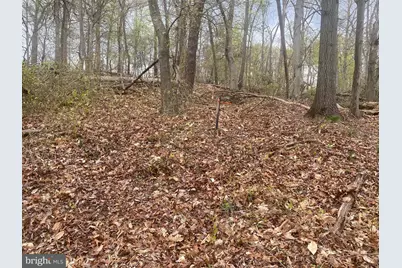 1030 Owens Road, Oxon Hill, MD 20745 - Photo 9