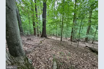 Hidden Valley Road, Accokeek, MD 20607 - Photo 19