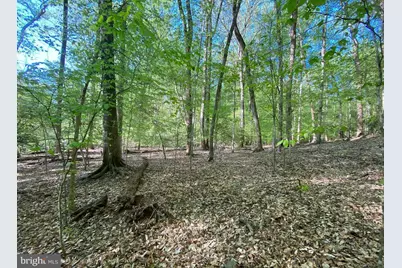 Hidden Valley Road, Accokeek, MD 20607 - Photo 13