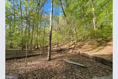 Hidden Valley Road, Accokeek, MD 20607 - Photo 9