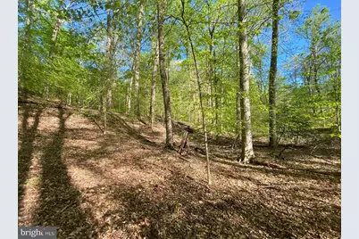 Hidden Valley Road, Accokeek, MD 20607 - Photo 11