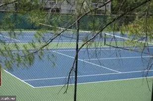 7902 Bayshore Dr, Laurel, MD 20707 - Photo 33