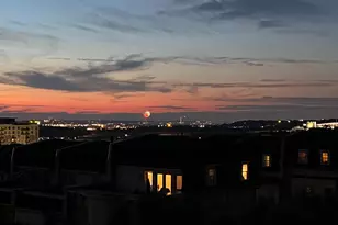 514 Overlook Park Dr, National Harbor, MD 20745 - Photo 43