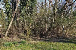 23404 Wilson Dr, Aquasco, MD 20608 - Photo 3