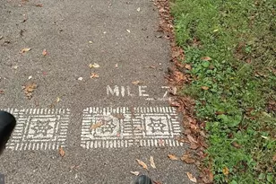 7003 Savannah Pkwy, Brandywine, MD 20613 - Photo 33