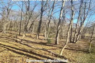 Saint Barnabas Rd, Oxon Hill, MD 20745 - Photo 1