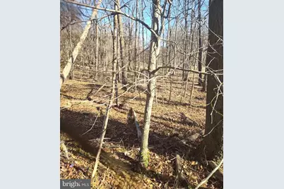 Saint Barnabas Road, Oxon Hill, MD 20745 - Photo 5