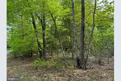 Old Marshall Hall Road, Accokeek, MD 20607 - Photo 5