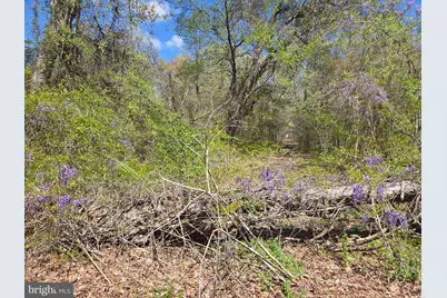 Newasa Lane, Accokeek, MD 20607 - Photo 5