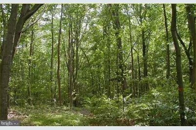 12605 Cedarville Road, Brandywine, MD 20613 - Photo 3