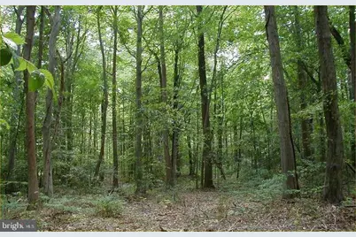 12605 Cedarville Road, Brandywine, MD 20613 - Photo 7