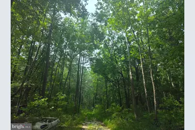 4820 Danville Road, Brandywine, MD 20613 - Photo 3