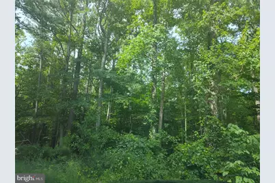 4820 Danville Road, Brandywine, MD 20613 - Photo 5