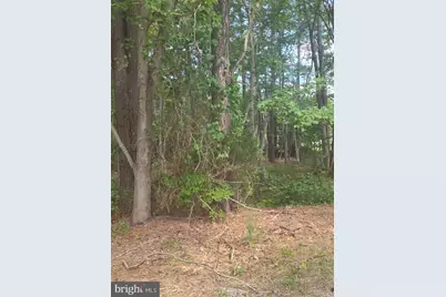 4820 Danville Road, Brandywine, MD 20613 - Photo 11