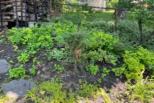 5808 Nystrom St, Hyattsville, MD 20784 - Photo 37