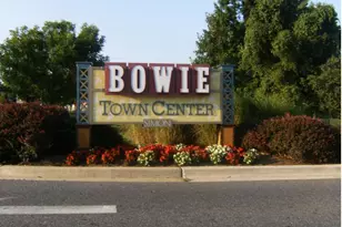 11 While Away Dr, Bowie, MD 20716 - Photo 19