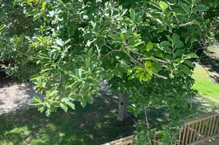 7308 Highbridge Rd, Bowie, MD 20720 - Photo 9