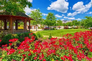 7107 Piney Woods Pl, Laurel, MD 20707 - Photo 51