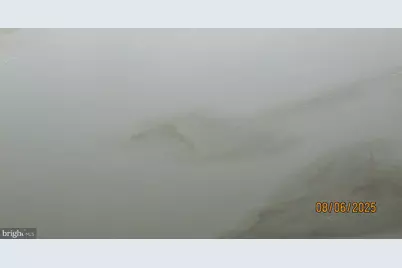 4724 Branchville Road, College Park, MD 20740 - Photo 29