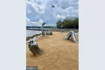 155 Potomac Psge #806, National Harbor, MD 20745 - Photo 59