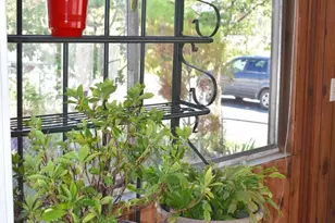 4318 Newton St, Brentwood, MD 20722 - Photo 5